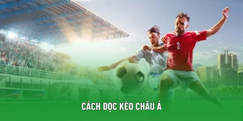 Cách Đọc Kèo Châu Á | Hướng Dẫn Từ A-Z Cho Các Tân Thủ