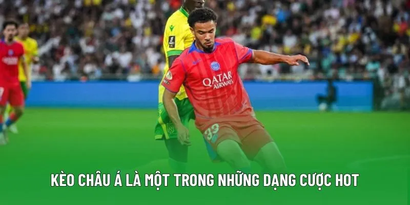 Kèo châu Á là một trong những dạng cược hot Kèo châu Á là một trong những dạng cược hot