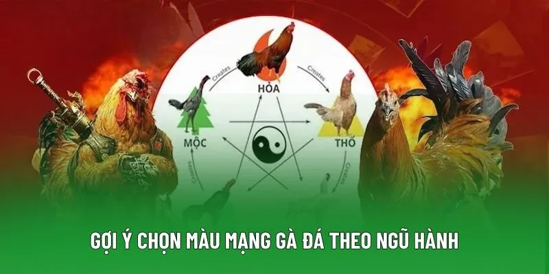 Gợi ý chọn màu mạng gà đá theo ngũ hành