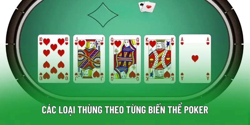 Các loại thùng theo từng biến thể poker