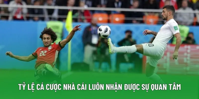 Tỷ lệ cá cược nhà cái luôn nhận được sự quan tâm Tỷ lệ cá cược nhà cái luôn nhận được sự quan tâm